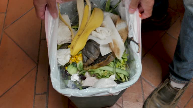  Apple Creek, OH Junk Removal Services Pros